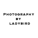 logo.photographybyladybird